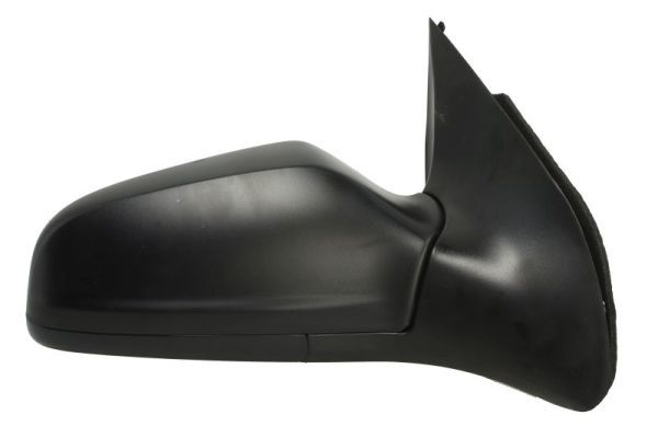 BLIC 5402-04-1121243P Exterior Mirror