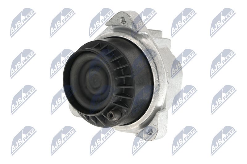 Paigutus, Mootor, NTY ZPS-BM-048