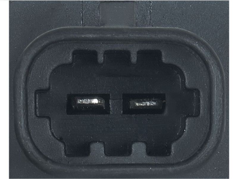 416698.JPG