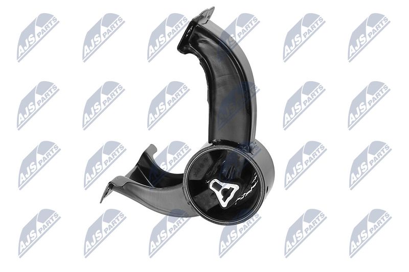 Paigutus, Mootor, NTY ZPS-CH-169