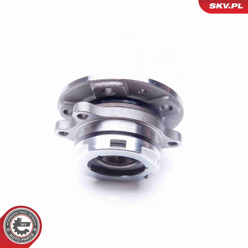 ESEN SKV 29SKV172 Wheel Bearing Kit