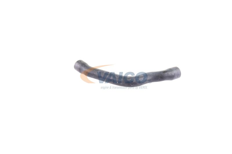 VAICO V30-2099 Radiator Hose