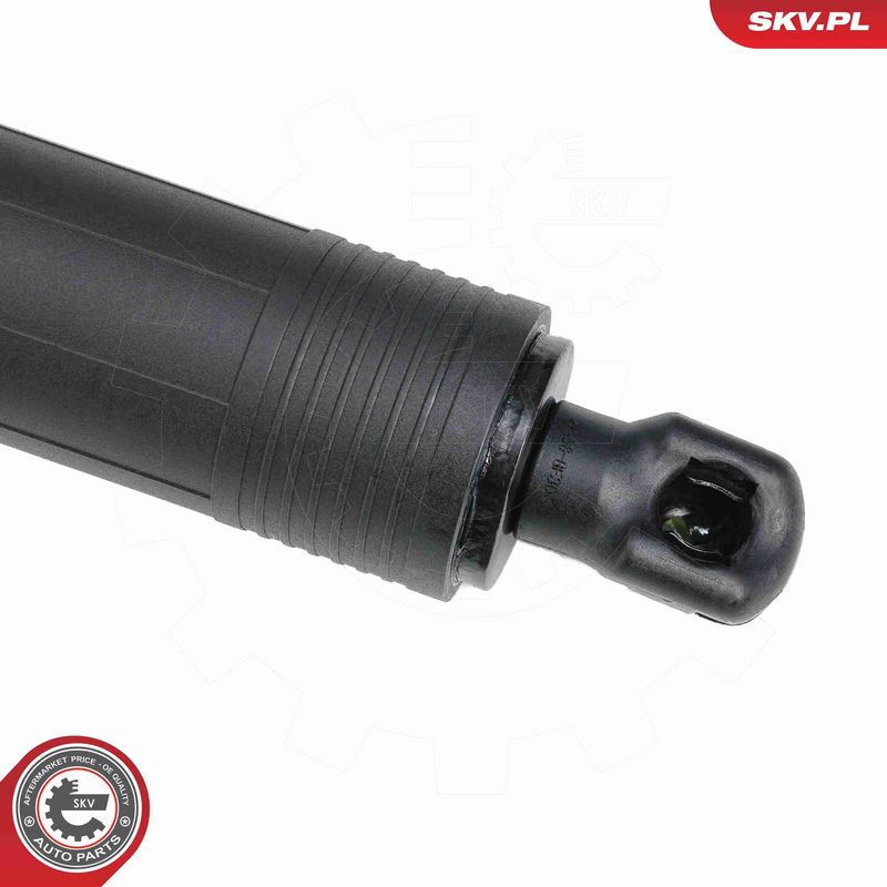 ESEN SKV 52SKV882 Electric Motor, tailgate