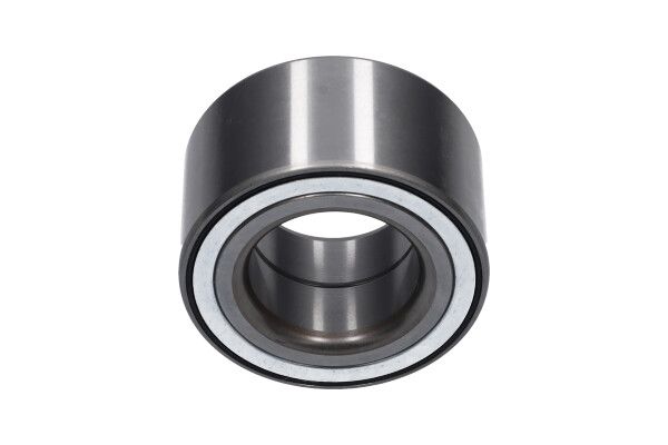 Kavo Parts Rato guolis