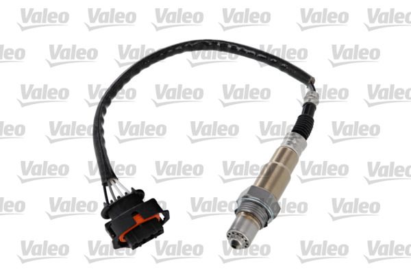 OXYGENSENSORS_368023_001.JPG