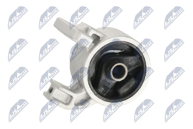 Paigutus, Mootor, NTY ZPS-KA-318