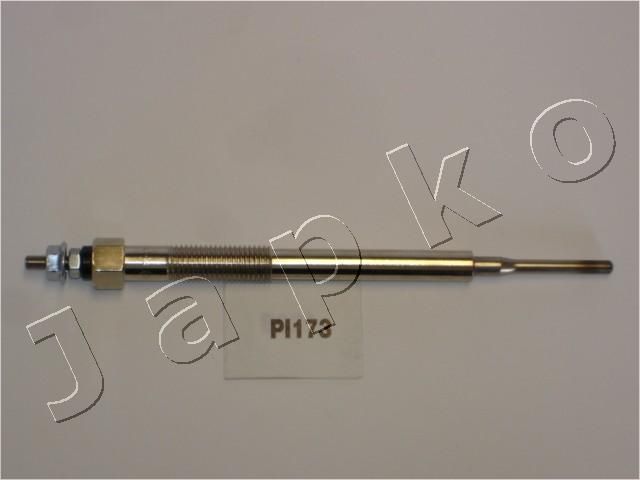 PI173_1.JPG