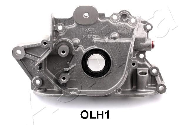 OLH1_1.JPG