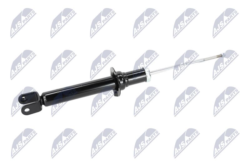 Amort, NTY A-CH-055