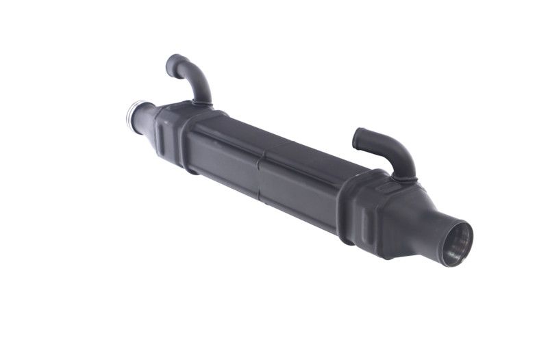 REMANTE 010-001-000022R EGR Module