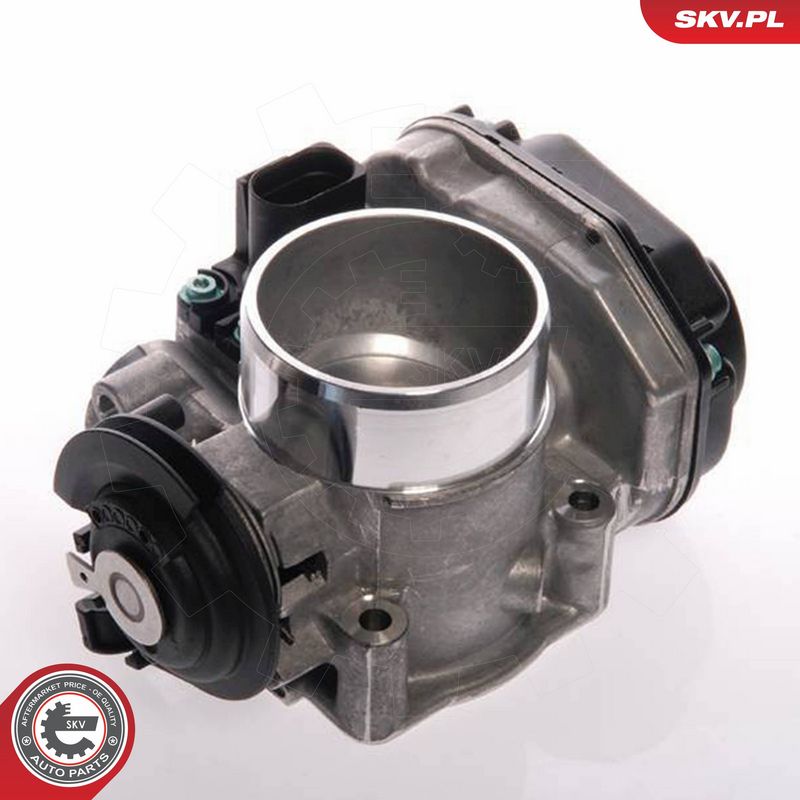 ESEN SKV 12SKV013 Throttle Body