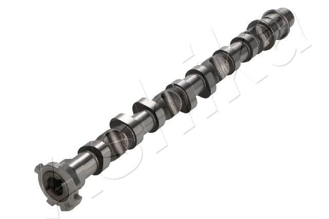 16DR004_2.JPG