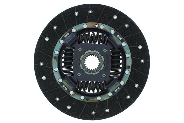 DS-919 01.JPG