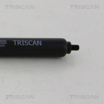TRIS8710819488100_2.JPG