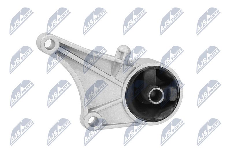 Paigutus, Mootor, NTY ZPS-PL-015