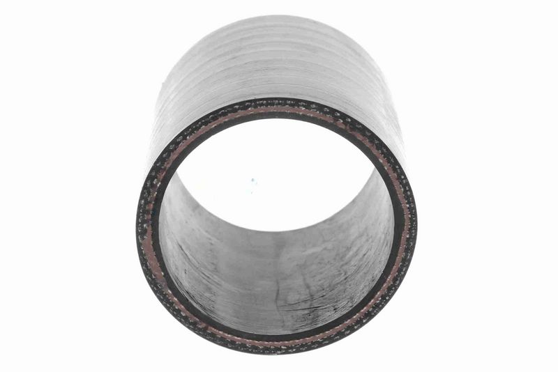 VAICO V25-1019 Charge Air Hose