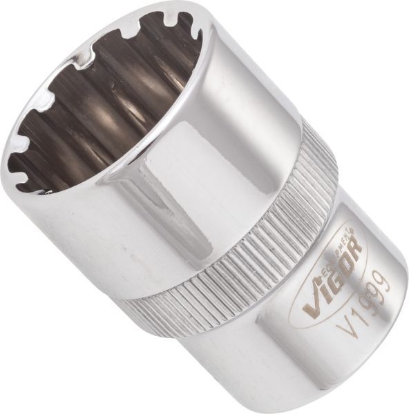 Padrun, VIGOR V1999