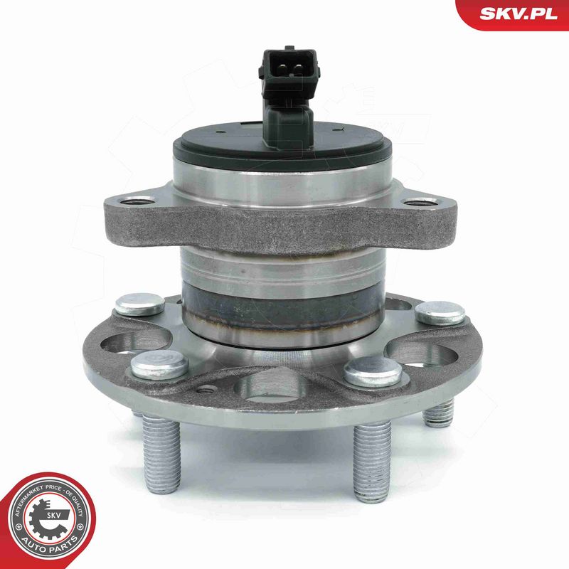 ESEN SKV 29SKV603 Wheel Bearing Kit