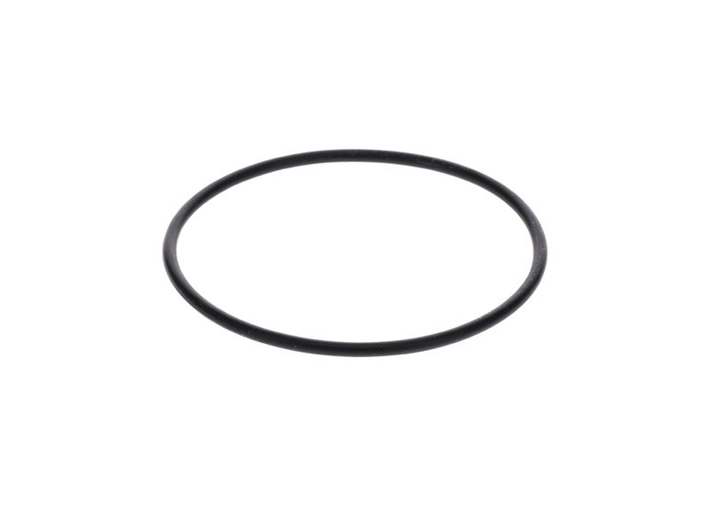 Inel de etansare 1 900 210 154 BOSCH