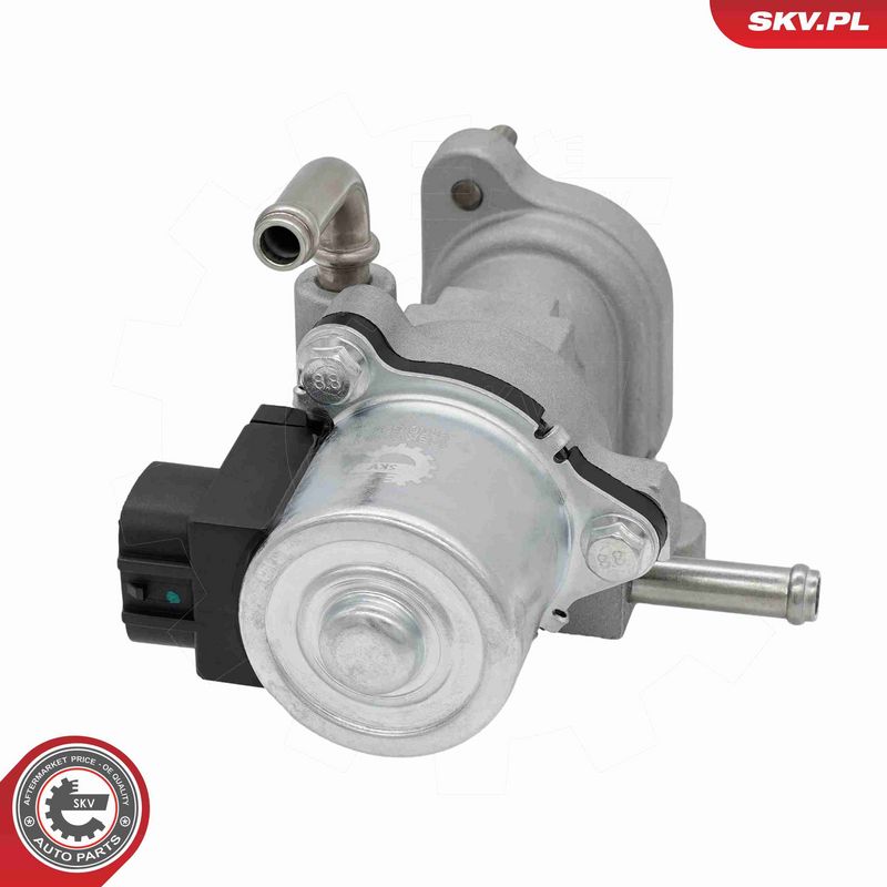 ESEN SKV 14SKV319 EGR Valve