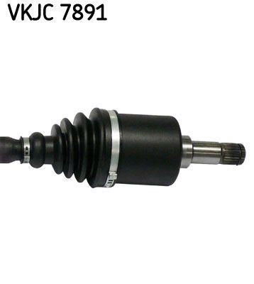 VKJC 7891_3.JPG
