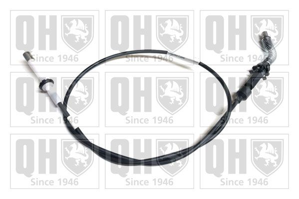 QH_QTC4044.JPG