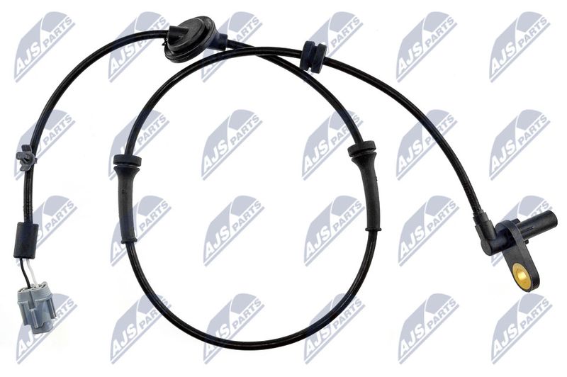 HCA-NS-080_1-WM.JPG