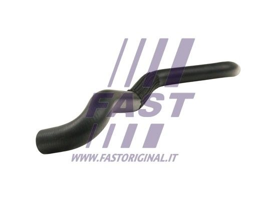 FT61197_1_1.JPG