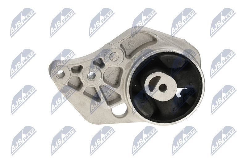 Paigutus, Mootor, NTY ZPS-CH-113