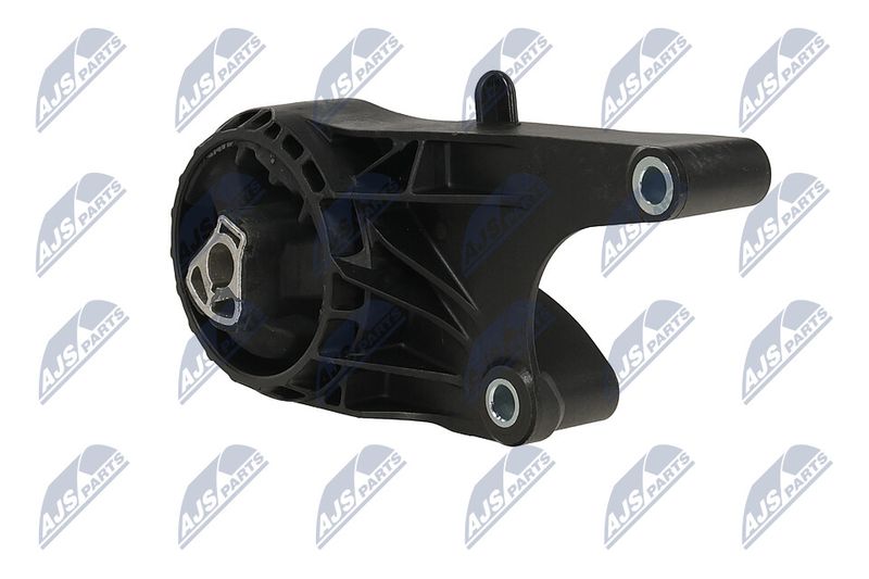 Paigutus, Mootor, NTY ZPS-PL-058