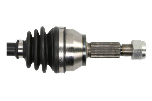 PASCAL G2G083PC Drive Shaft