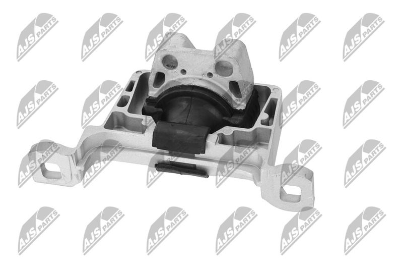 Paigutus, Mootor, NTY ZPS-FR-045