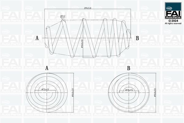 FAI Autoparts Suspension Spring FPCS186