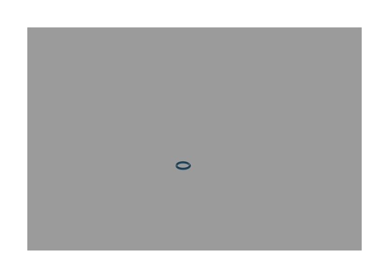BOSCH F 00N 204 103 Rubber Ring
