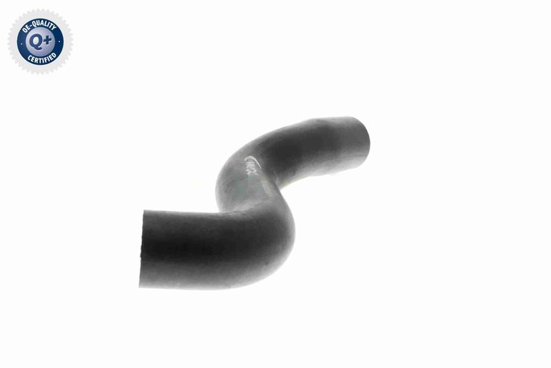 VAICO V30-1619 Radiator Hose