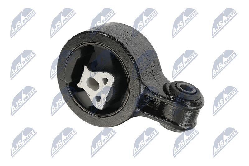 Paigutus, Mootor, NTY ZPS-CH-137