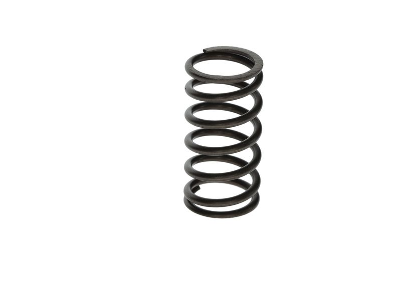 BOSCH F00N201853 Spring