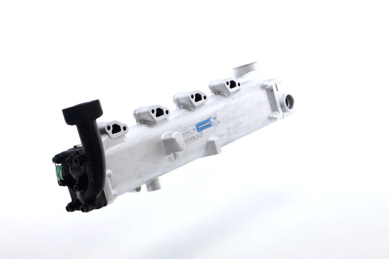 REMANTE 010-001-000004R EGR Module