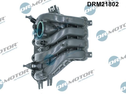 Модуль впускної труби, Dr.Motor DRM21802