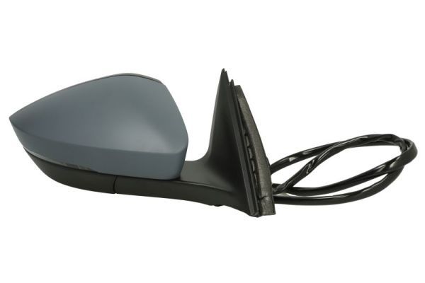BLIC 5402-43-1319317P Exterior Mirror