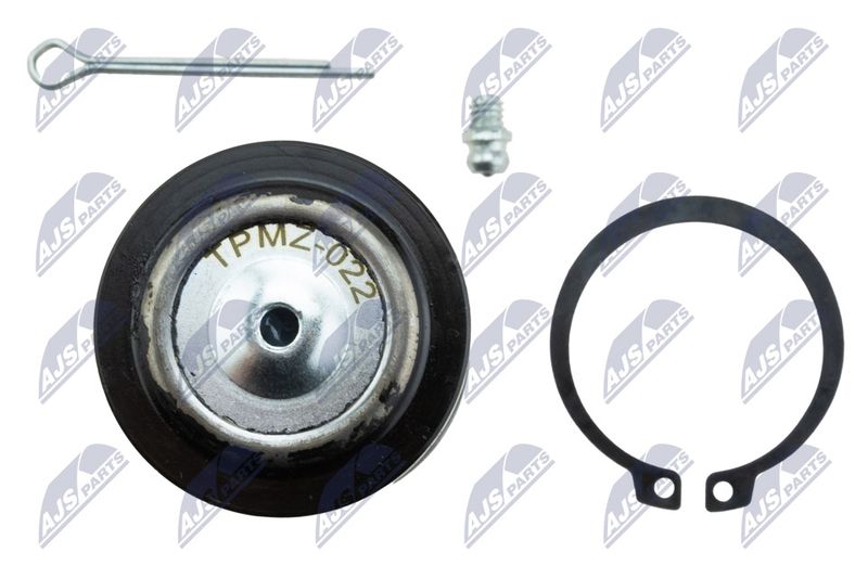 Kande-, juhtliigend, NTY ZSD-MZ-022