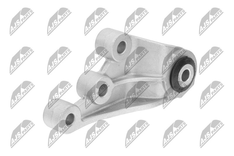 Paigutus, Mootor, NTY ZPS-CH-123