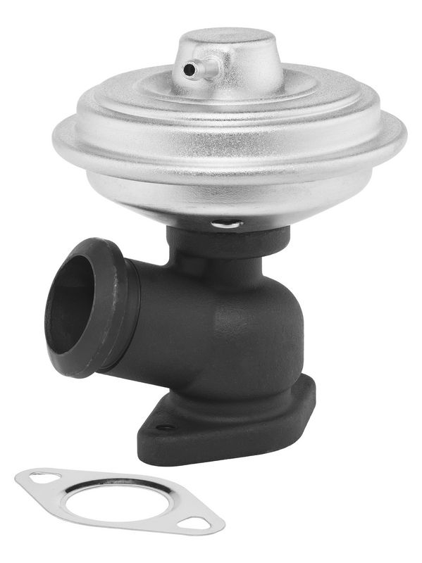 BorgWarner ERG vožtuvas