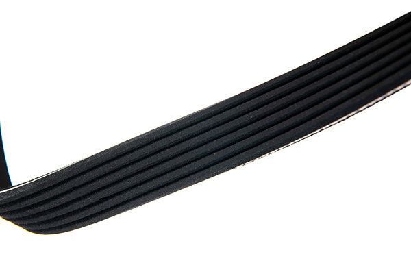 STELLOX 06-01580-SX V-ribbed Belt