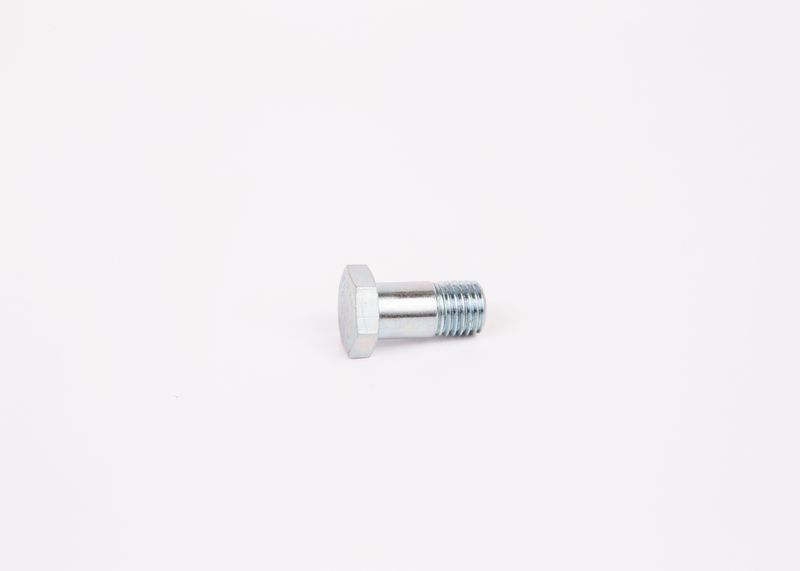 Surub 1 463 456 344 BOSCH