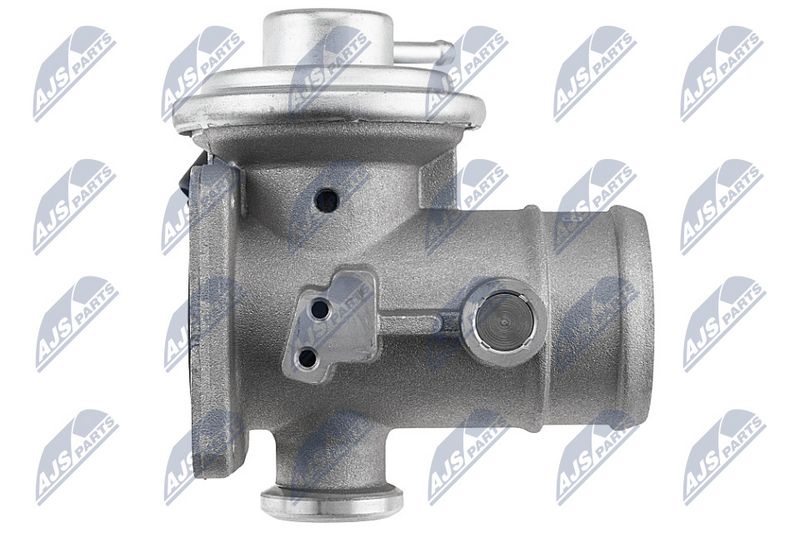 egr-vw-062_3-wm.JPG