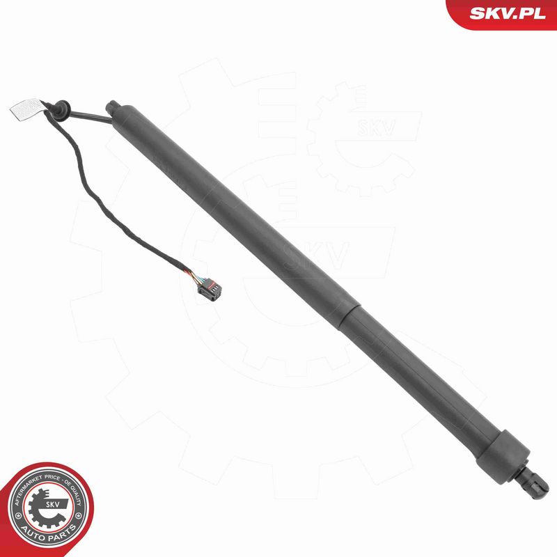 ESEN SKV 52SKV187 Electric Motor, tailgate