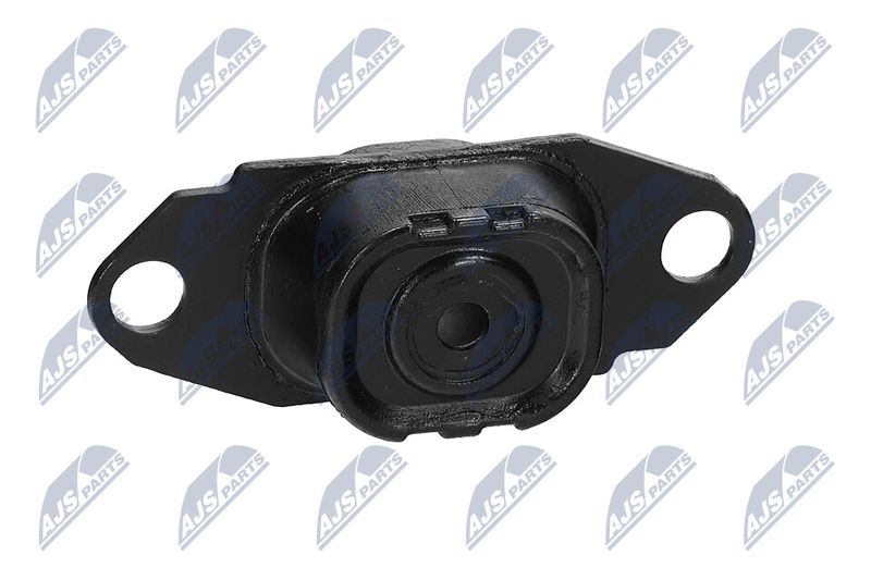 Paigutus, Mootor, NTY ZPS-NS-080
