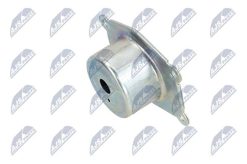 Paigutus, Mootor, NTY ZPS-PL-044