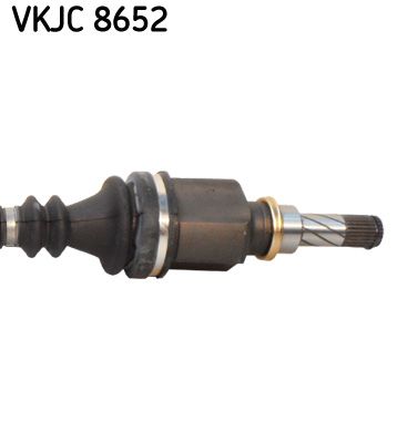 VKJC 8652_3.JPG